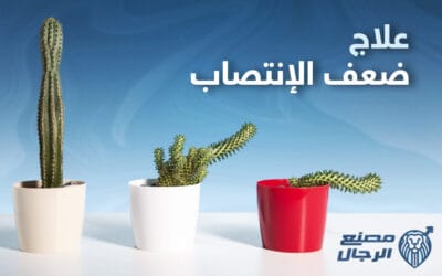 علاج ضعف الانتصاب عند الرجل