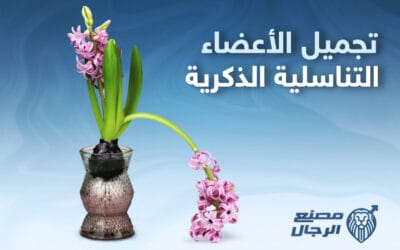 عمليات تجميل الاعضاء التناسلية – معلومات ونصائح هامة