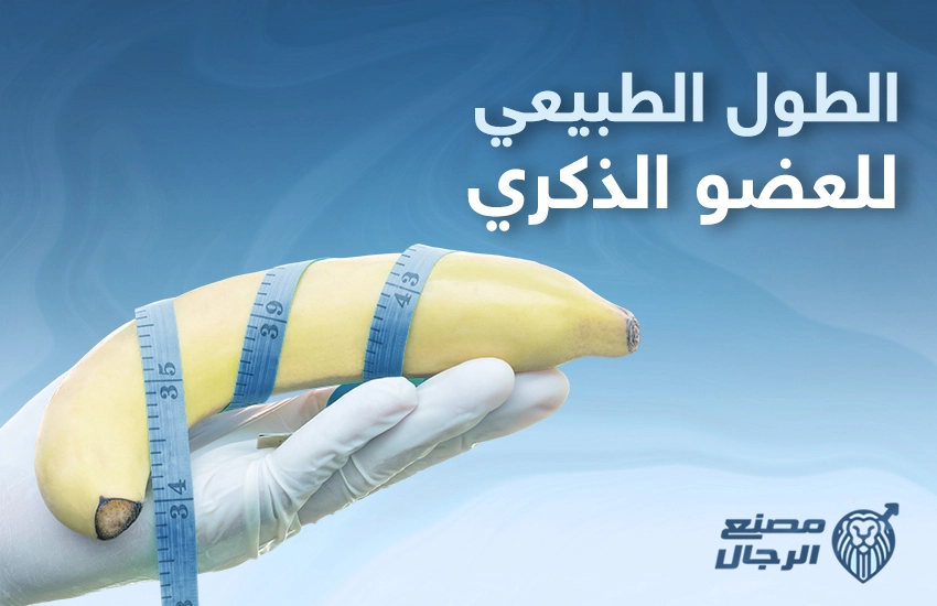 الطول الطبيعي للعضو الذكري
